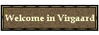 Welcome in Virgaard